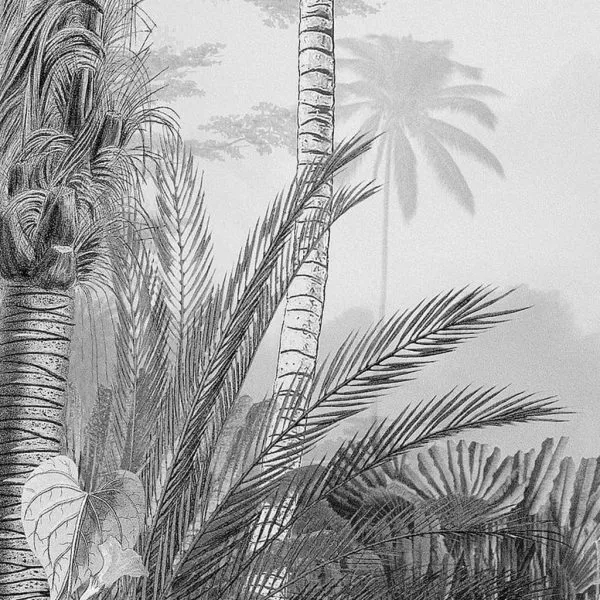 Komar Fototapet mural Lac Tropical alb & negru, 200×270 cm