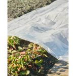 Nature Husa de plante, 4×6 m, 200µ, transparent