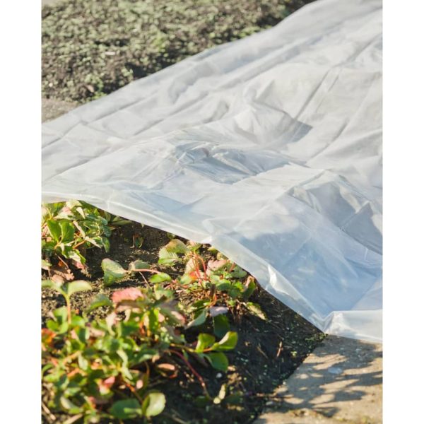 Nature Husa de plante, 4×6 m, 200µ, transparent