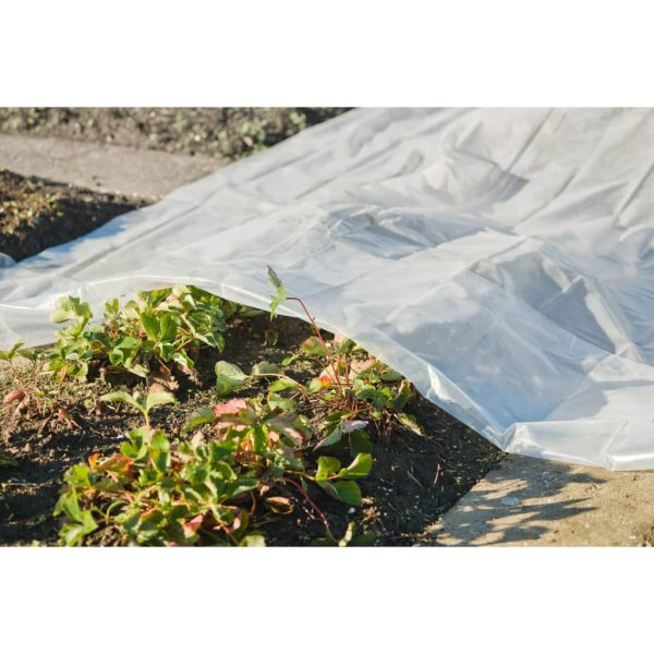 Nature Husa de plante, 4×6 m, 200µ, transparent