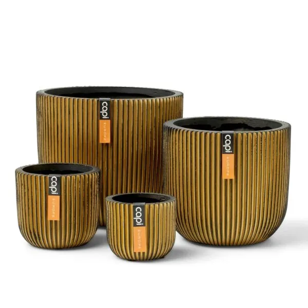 Capi Set de vaze în formă de bol, 4 piese, „Groove”, auriu