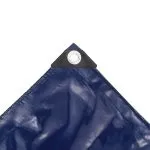 Prelată 650 g/m² 3 x 6 m Albastru