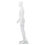 Corp manechin masculin, cu suport din sticlă, alb lucios 185 cm