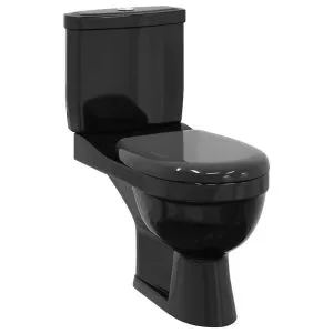Vas WC cu rezervor