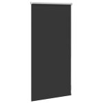 Jaluzea opacă rulabilă, 40 x 100 cm, negru