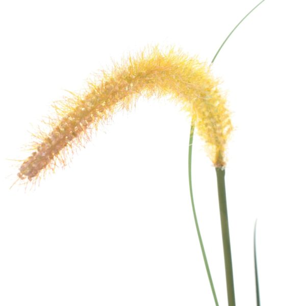 Plantă iarbă artificială în ghiveci cu papură, 135 cm