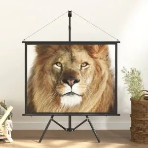 Ecran de proiecție cu trepied 50″ 4:3