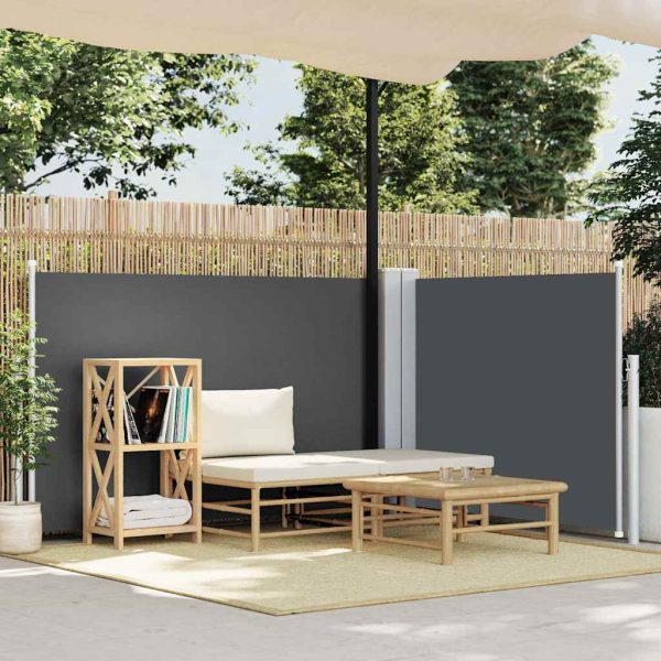 Copertină laterală retractabilă, antracit, 120 x 600 cm