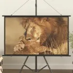 Ecran de proiecție 50″ 16:9