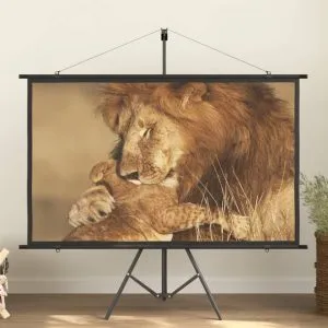 Ecran de proiecție 72″ 16:9