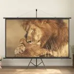 Ecran de proiecție 100″ 16:9