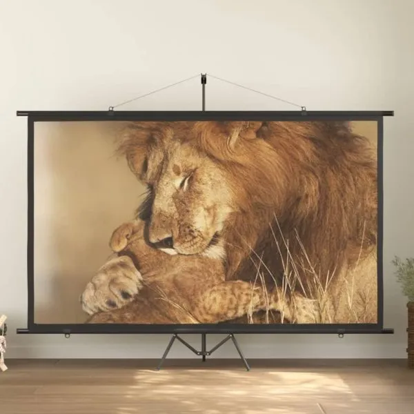 Ecran de proiecție 120″ 16:9