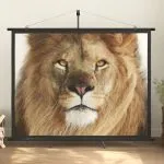 Ecran de proiecție cu trepied 84″ 4:3
