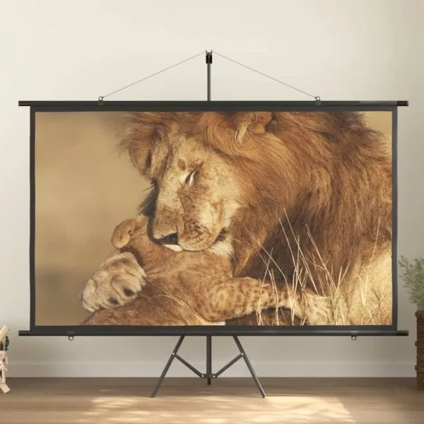 Ecran de proiecție cu trepied 100″ 16:9