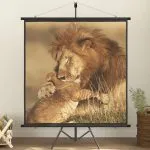 Ecran de proiecție cu trepied 89″ 1:1