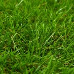 Gazon artificial, verde, 1×10 m/40 mm