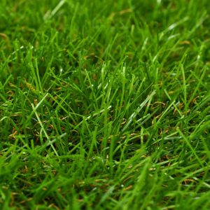 Gazon artificial, verde, 1×10 m/40 mm