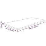 Blat de baie, 100x50x2,5 cm, lemn masiv netratat