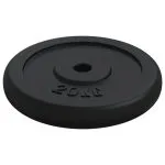 Disc de greutate, 40 kg, fontă