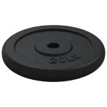 Disc de greutate, 40 kg, fontă