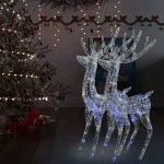 Ren de Crăciun 250 LED-uri, 2 buc. multicolor 180 cm acril XXL