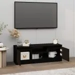 Comodă TV cu ușă, negru, 102x30x36 cm