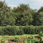 Gard plasă de sârmă, antracit, 2,2×10 m