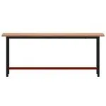 Banc de lucru 200x55x81,5 cm, lemn masiv de fag și metal