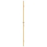 Ușă interior Slim auriu 102,5×201,5cm sticlă temperată/aluminiu