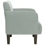 Canapea scaun cu cotiere Gri deschis 54 cm catifea