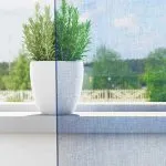 Perdele voal cu bucle 2 buc Albastru regal 140×175 cm